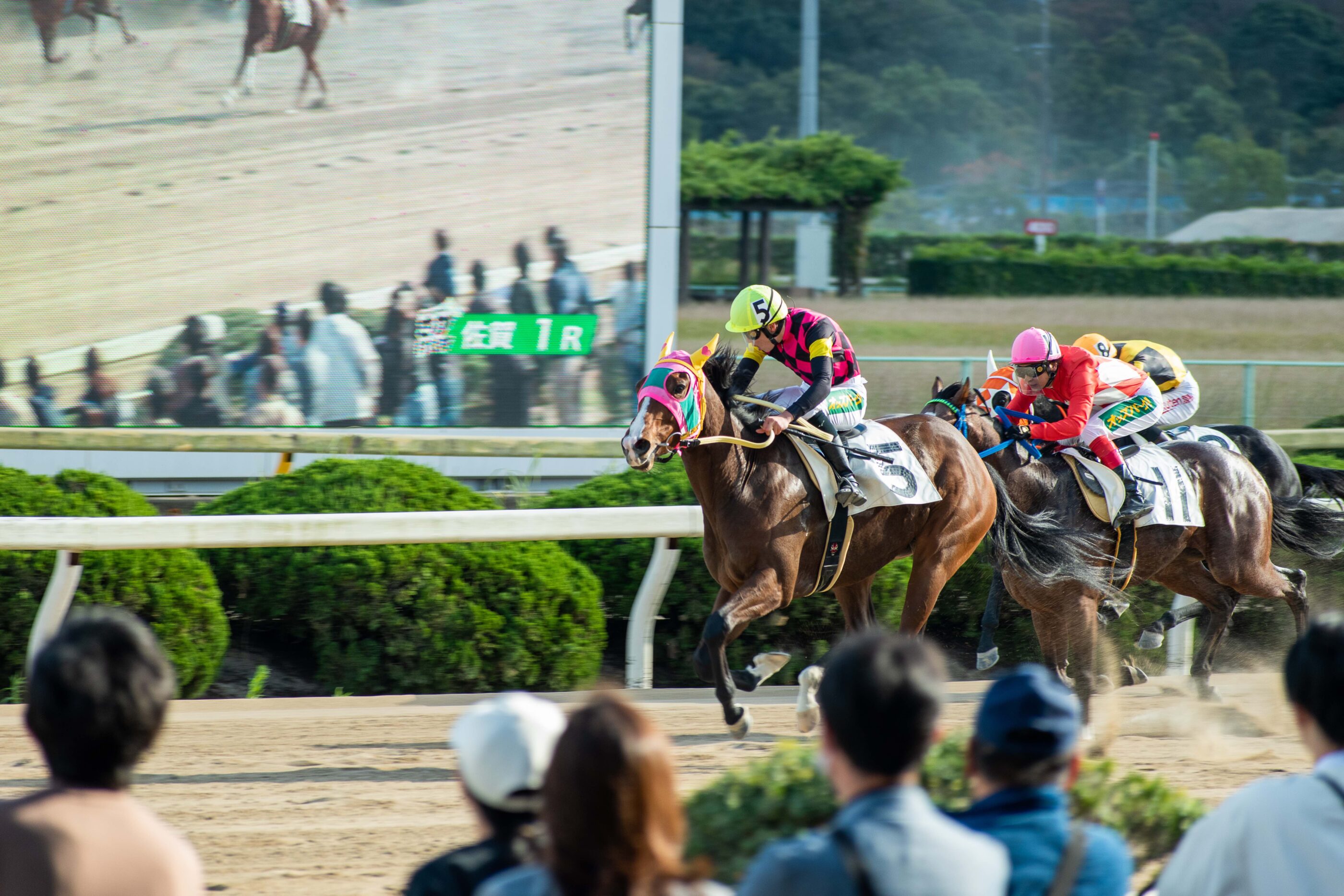 競馬にハマっているだけのお話。 ブログ 九州空撮隊（熊本・福岡・鹿児島・長崎・大分・宮崎・佐賀・沖縄）
